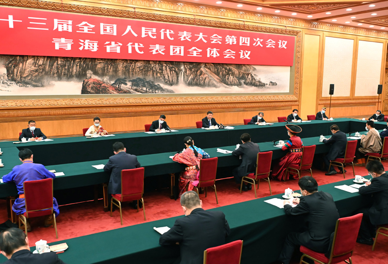 3月7日，中共中央總書(shū)記、國(guó)家主席、中央軍委主席習(xí)近平參加十三屆全國(guó)人大四次會(huì)議青海代表團(tuán)的審議。新華社記者 李濤 攝